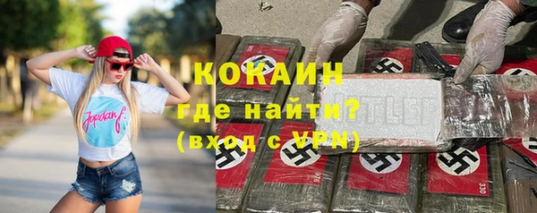 тгк Инсар