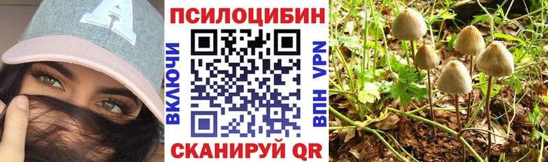 Купить закладки  Гулькевичи  Галлюциногенные грибы прущие грибы 
